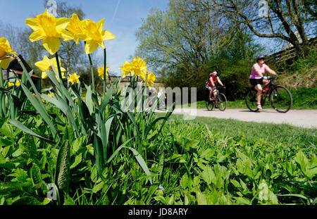 Radfahrer auf der Monsal Trail in Bakewell in Derbyshire an einem Frühlingstag Stockfoto