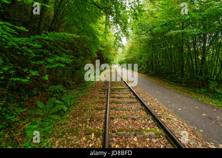 Leere Zuggleisen führenden Weg in Ferne durch üppige grüne Wälder, Belgien. Belgien-Europa Stockfoto