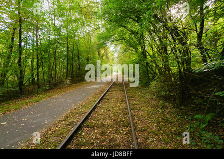Leere Zuggleisen führenden Weg in Ferne durch üppige grüne Wälder, Belgien. Belgien-Europa Stockfoto