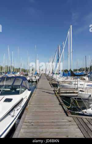 Stationäre Segelboote neben einem Pier, Toronto, Ontario, Kanada, Sommer. Segeln Transport Toronto ontario Stockfoto