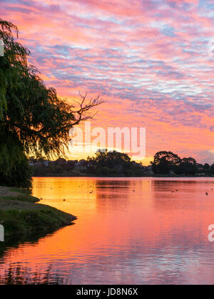 Sonnenuntergang am Lake Monger in Perth, Westaustralien. Stockfoto