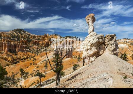 Hoodoo Felsformationen auf Fairyland Wanderweg in Bryce Canyon Nationalpark Utah Vereinigte Staaten von Amerika Stockfoto