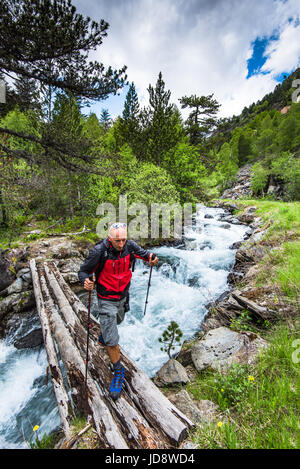 Aktive Wanderer Kreuzung schnell fließenden Bergfluss auf umgestürzten Baum Stockfoto