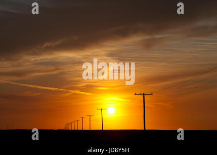 Hydro Polen in Prairie sunset Stockfoto