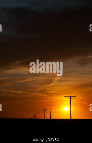 Hydro Polen in Prairie sunset Stockfoto