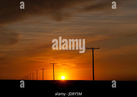 Hydro Polen in Prairie sunset Stockfoto