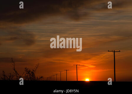 Hydro Polen in Prairie sunset Stockfoto