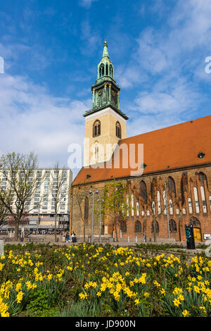 BERLIN - 2. April 2017: Maria Kirche (Marienkirche). Die älteste aktive evangelische Kirche in Deutschland. Stockfoto