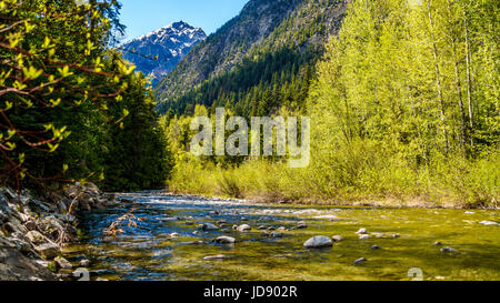 Aussprache cayoosh Creek zwischen Duffey Lake und Seton See. Es läuft neben der Autobahn 99, die duffey Lake Road, zwischen und Lillooet Pemberton, BC, Kanada Stockfoto