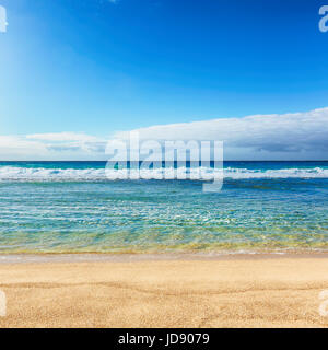 Gris Strand am Tageszeit. Mauritius. Stockfoto