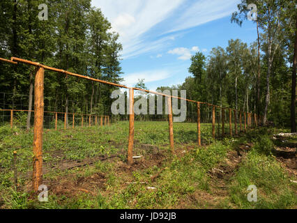 Eine separate und eingezäunten Gebiet mitten im Wald mit kleinen Bäumen gepflanzt, der Wald wird zerschlagen und verboten. Horizontale Ansicht Stockfoto