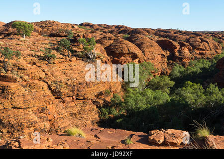 Dramatische Landschaft am Kings Canyon, Northern Territory, Australien Stockfoto