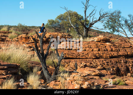 Dramatische Landschaft am Kings Canyon, Northern Territory, Australien Stockfoto