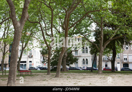 Jardim Passeio Alegre in Porto - Portugal Stockfoto