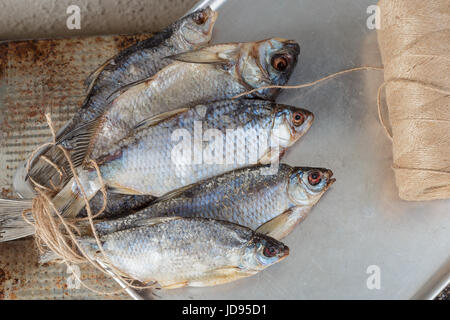 Taranka, sonnengetrocknete salzig Flussfisch, klassische Bier-Snack im Post-sowjetischen Ländern Stockfoto