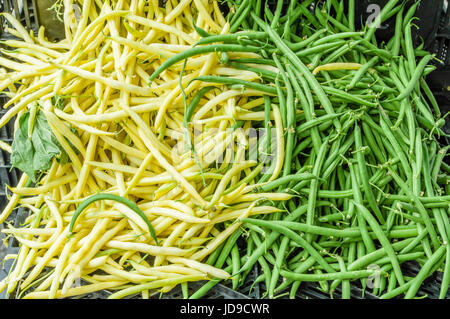 Anzeige von grünen und gelben Snapo Bohnen auf dem Markt Stockfoto