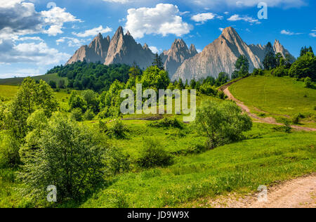 Zusammengesetzte Sommerlandschaft. Pfad durch den Wald auf grasbewachsenen Hügel in der hohen Tatra. schöne Sommerwetter mit blauen Himmel und einige Wolken Stockfoto