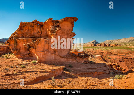 Erodiertes rotes Jurassic Sandstone Gestein, fossile Sanddünen, in Little Finland Area, Gold Butte National Monument, Mojave Desert, Nevada, USA Stockfoto