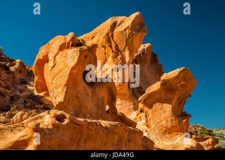 Erodiertes rotes Jurassic Sandstone Gestein, fossile Sanddünen, in Little Finland Area, Gold Butte National Monument, Mojave Desert, Nevada, USA Stockfoto