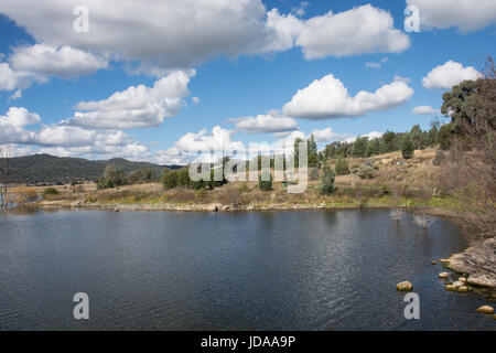Quipolly Damm am natrlich südlich von Tamworth NSW Australia. Stockfoto