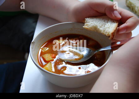 Ungarisches Gulasch Stockfoto