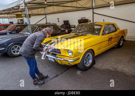 1965 Ford Mustang bekommt eine Politur im Fahrerlager vor dem Piermont Cup Rennen in Goodwood GRRC 75MM Mitgliederversammlung, Sussex, UK. Stockfoto