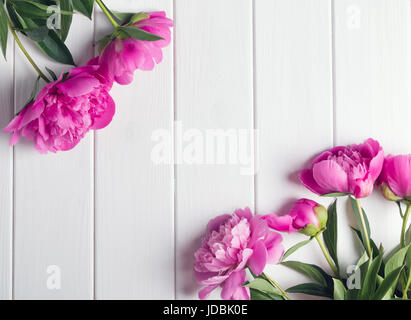 Schöne rosa Blumen auf weißem Hintergrund aus Holz Stockfoto