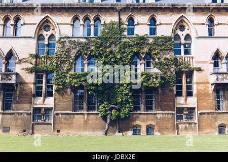 Baum über der Fassade Wiese, Christ Church College - einer der historischen Colleges der berühmten Oxford University, England, UK. Stockfoto