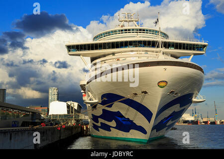 Kreuzfahrt Schiff Karibik Prinzessin, Bezirk Altona, Hamburg, Deutschland, Europa Stockfoto