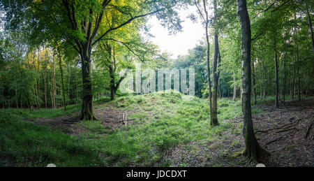 Waltham, Bronzezeit Barrow Friedhof in South Downs National Park, West Sussex, Großbritannien Stockfoto