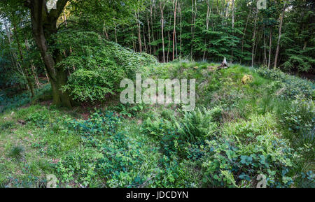 Waltham, Bronzezeit Barrow Friedhof in South Downs National Park, West Sussex, Großbritannien Stockfoto