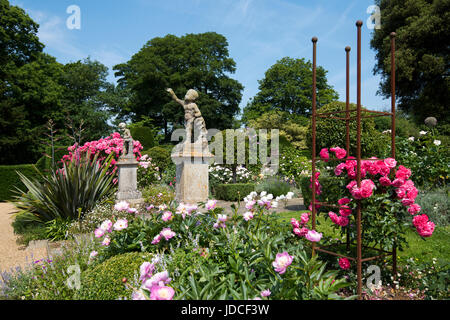 Rosengarten in voller Blüte im Belvoir Castle Leicestershire England UK Stockfoto