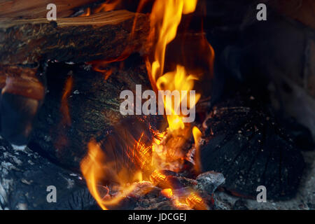 Wappen der Flamme auf die Verbrennung von Holz im Kamin brennende Holz und Kohle Stockfoto