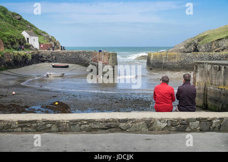 Mann und Frau genießen der Aussicht am Hafen von Porthgain, Pembrokeshire Coast National Park, Wales, UK Stockfoto