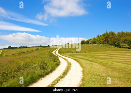 eine kreidige weiß Farm verfolgen neben Wald und Weideland Wiesen in der Yorkshire Wolds unter blauem Himmel im Sommer Stockfoto