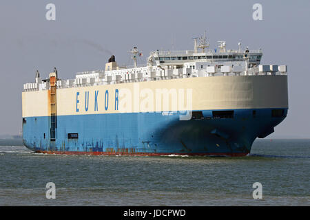 Die Fahrzeuge Träger morgen Lucy Pässe Terneuzen auf dem Weg zum Hafen von Antwerpen. Stockfoto