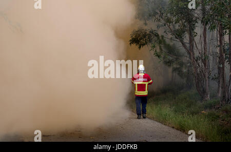 Lissabon, Portugal. 19. Juni 2017. Ein Feuerwehrmann inspiziert einen Waldbrand Verbreitung außerhalb Derreada Cimeira, einer Stadt etwa 180 km nordöstlich von Lissabon, Portugal, 19. Juni 2017. Die portugiesische Polizei haben erklärt, dass eine Reihe von tödlichen Waldbrände durch einen Blitzschlag ausgelöst wurden. Foto: Peter Kneffel/Dpa/Alamy Live News Stockfoto