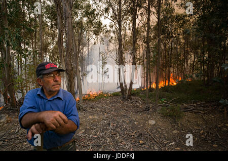 Lissabon, Portugal. 19. Juni 2017. Ein Mann hält ein Auge auf einen Waldbrand außerhalb Derreada Cimeira, einer Stadt etwa 180 km nordöstlich von Lissabon, Portugal, 19. Juni 2017. Die portugiesische Polizei haben erklärt, dass eine Reihe von tödlichen Waldbrände durch einen Blitzschlag ausgelöst wurden. Foto: Peter Kneffel/Dpa/Alamy Live News Stockfoto