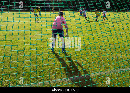 Mariehamn, Åland-Inseln, Finnland, 19. Juni 2017.  Gruppenspiele am zweiten Tag des Alandia Cup am Baltichallen in Mariehamn, Åland, Finnland am 19. Juni 2017. Über 1500 Spieler aus mehr als 100 Jugendmannschaften aus ganz Schweden und Finnland beteiligen sich die beliebte jährliche Sommer-Fußball-Turnier in den finnischen Schären. Im Bild: Action rund um die sportliche Veranstaltung, die über die ganze Insel für eine Woche dauert. Foto: Rob Watkins/Alamy News Stockfoto