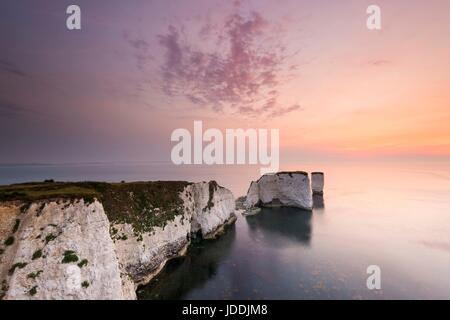 Old Harry Rocks, Studland, Dorset, Großbritannien. 20. Juni 2017. UK Wetter. Sonnenaufgang an der Chalk Pinnacles des Old Harry Rocks in der Nähe von North auf der Jurassic Coast von Dorset an einem warmen Morgen. Photo Credit: Graham Jagd-/Alamy leben Nachrichten Stockfoto