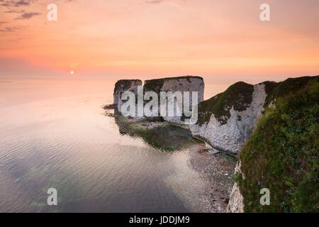 Old Harry Rocks, Studland, Dorset, Großbritannien. 20. Juni 2017. UK Wetter. Sonnenaufgang an der Chalk Pinnacles des Old Harry Rocks in der Nähe von North auf der Jurassic Coast von Dorset an einem warmen Morgen. Photo Credit: Graham Jagd-/Alamy leben Nachrichten Stockfoto