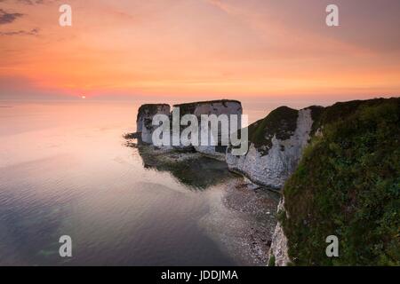 Old Harry Rocks, Studland, Dorset, Großbritannien. 20. Juni 2017. UK Wetter. Sonnenaufgang an der Chalk Pinnacles des Old Harry Rocks in der Nähe von North auf der Jurassic Coast von Dorset an einem warmen Morgen. Photo Credit: Graham Jagd-/Alamy leben Nachrichten Stockfoto