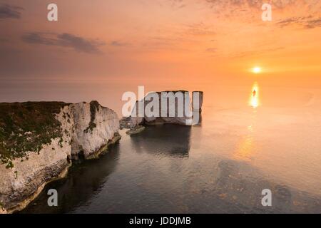 Old Harry Rocks, Studland, Dorset, Großbritannien. 20. Juni 2017. UK Wetter. Sonnenaufgang an der Chalk Pinnacles des Old Harry Rocks in der Nähe von North auf der Jurassic Coast von Dorset an einem warmen Morgen. Photo Credit: Graham Jagd-/Alamy leben Nachrichten Stockfoto