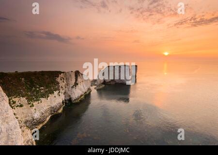 Old Harry Rocks, Studland, Dorset, Großbritannien. 20. Juni 2017. UK Wetter. Sonnenaufgang an der Chalk Pinnacles des Old Harry Rocks in der Nähe von North auf der Jurassic Coast von Dorset an einem warmen Morgen. Photo Credit: Graham Jagd-/Alamy leben Nachrichten Stockfoto