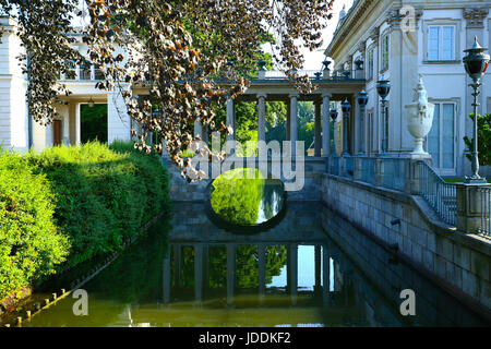 Warschau, Polen. 20. Juni 2017. Polen, Warschau, 20. Juni 2017: voller Sonnenschein bei steigenden Temperaturen füllt leere Lazienki-Park am Morgen. Bildnachweis: Madeleine Ratz/Alamy Live-Nachrichten Stockfoto