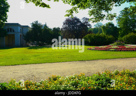 Warschau, Polen. 20. Juni 2017. Polen, Warschau, 20. Juni 2017: voller Sonnenschein bei steigenden Temperaturen füllt leere Lazienki-Park am Morgen. Bildnachweis: Madeleine Ratz/Alamy Live-Nachrichten Stockfoto