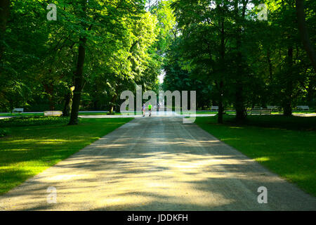Warschau, Polen. 20. Juni 2017. Polen, Warschau, 20. Juni 2017: voller Sonnenschein bei steigenden Temperaturen füllt leere Lazienki-Park am Morgen. Bildnachweis: Madeleine Ratz/Alamy Live-Nachrichten Stockfoto