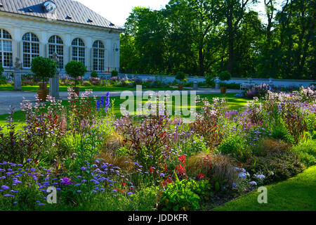 Warschau, Polen. 20. Juni 2017. Polen, Warschau, 20. Juni 2017: voller Sonnenschein bei steigenden Temperaturen füllt leere Lazienki-Park am Morgen. Bildnachweis: Madeleine Ratz/Alamy Live-Nachrichten Stockfoto