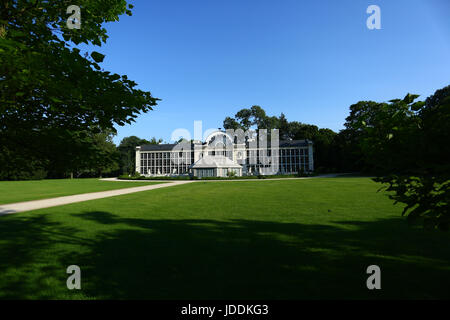 Warschau, Polen. 20. Juni 2017. Polen, Warschau, 20. Juni 2017: voller Sonnenschein bei steigenden Temperaturen füllt leere Lazienki-Park am Morgen. Bildnachweis: Madeleine Ratz/Alamy Live-Nachrichten Stockfoto