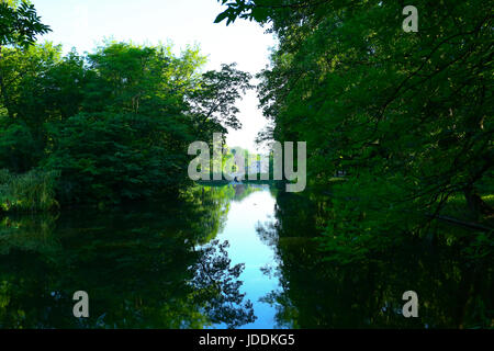 Warschau, Polen. 20. Juni 2017. Polen, Warschau, 20. Juni 2017: voller Sonnenschein bei steigenden Temperaturen füllt leere Lazienki-Park am Morgen. Bildnachweis: Madeleine Ratz/Alamy Live-Nachrichten Stockfoto